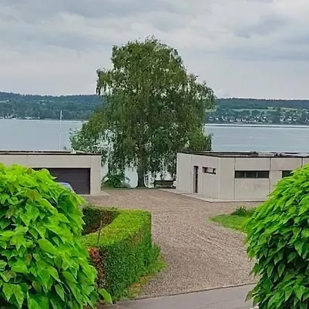 Möve